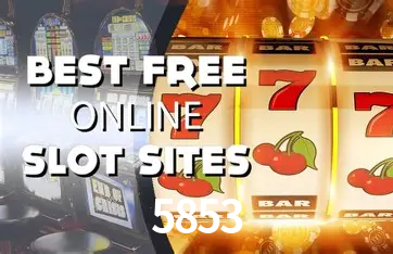 Interface Premium 5853